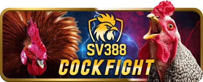 Hình ảnh đa dạng các trò chơi cá cược tại Vin7771 Win